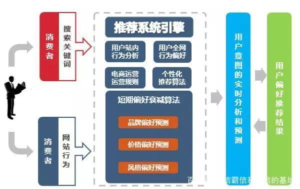 新奥精准资料免费提供(综合版)_最新;-精选解析，精确方案反馈