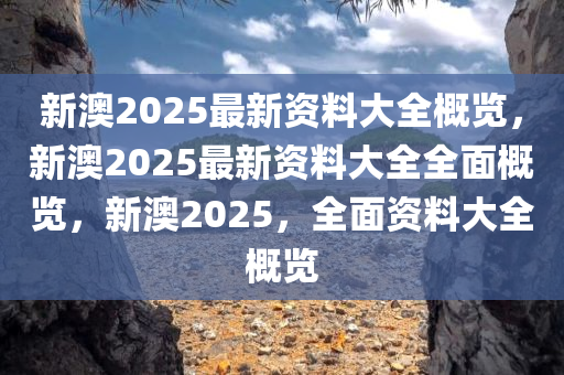 新澳2025年最新版资料;-精选解析，新澳2025年最新资料概览